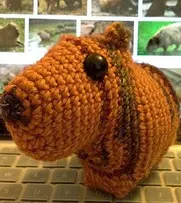 http://www.ravelry.com/patterns/library/sara-the-capybara