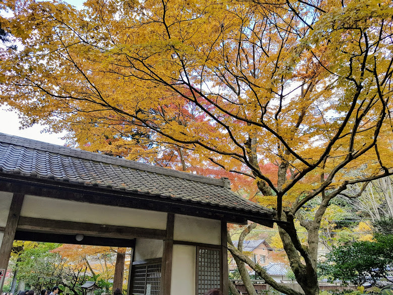 寺內的秋色景
