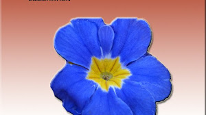 77 Schöne Sprüche Sinn Des Lebens