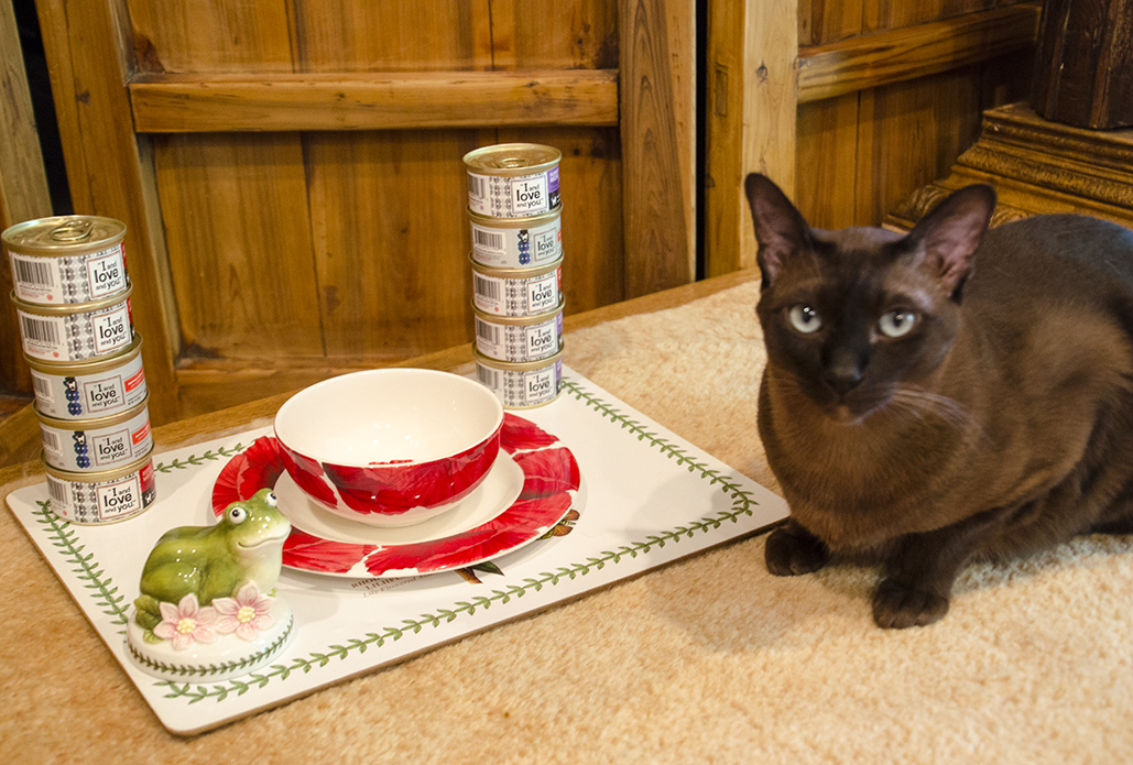 Cats Tales Reviews I And Love And You Happy Memorial Day