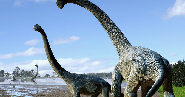 Scientists Discover Giant herbivorous, Long-Necked Dinosaur Species In ...