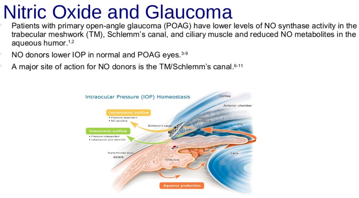 Meet Vyzulta, The Revolutionary New Therapy Eyedolatry