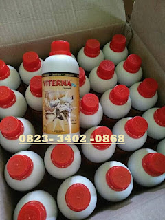 Sedia Viterna NASA Di Kabupaten Aceh Jaya 081360421856 Sedia Viterna NASA Di Kabupaten Aceh Jaya 081360421856
