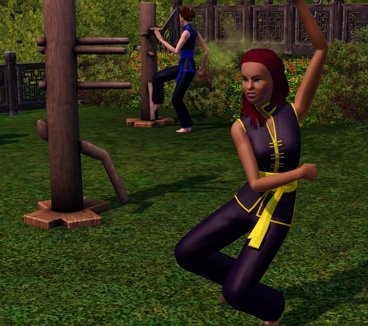 A Sims 3 through history legacy challenge Chapter 77 Martial Arts