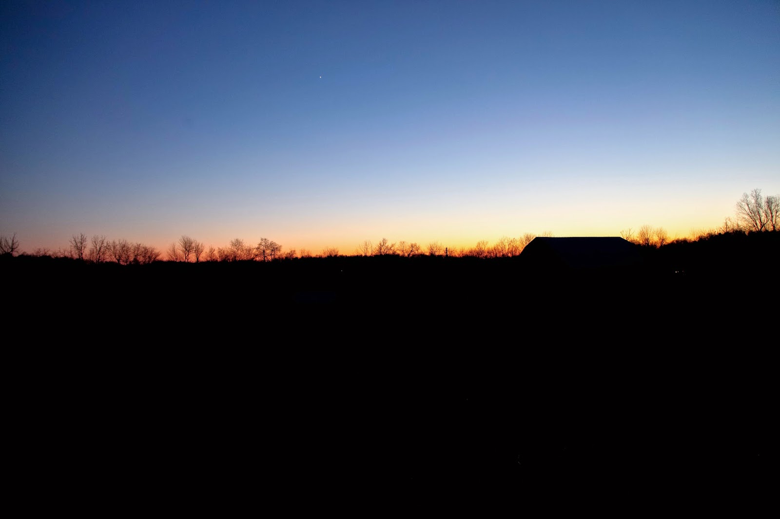 5th Grade Wit and Whimsy