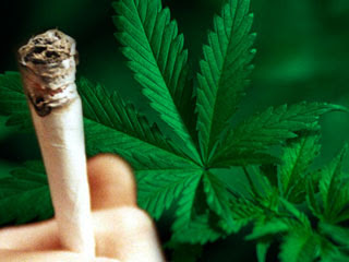marijuana_1106.jpg