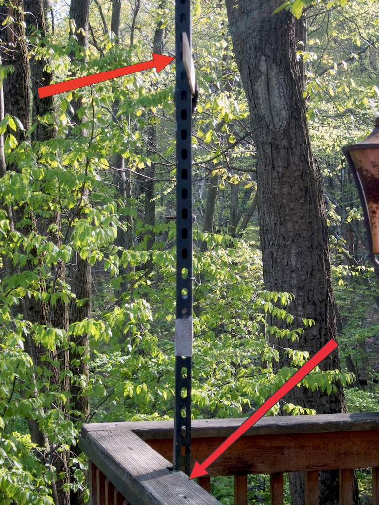 The Liz and Bob Blog Bear Proof Bird Feeder Survived the BIG Bear