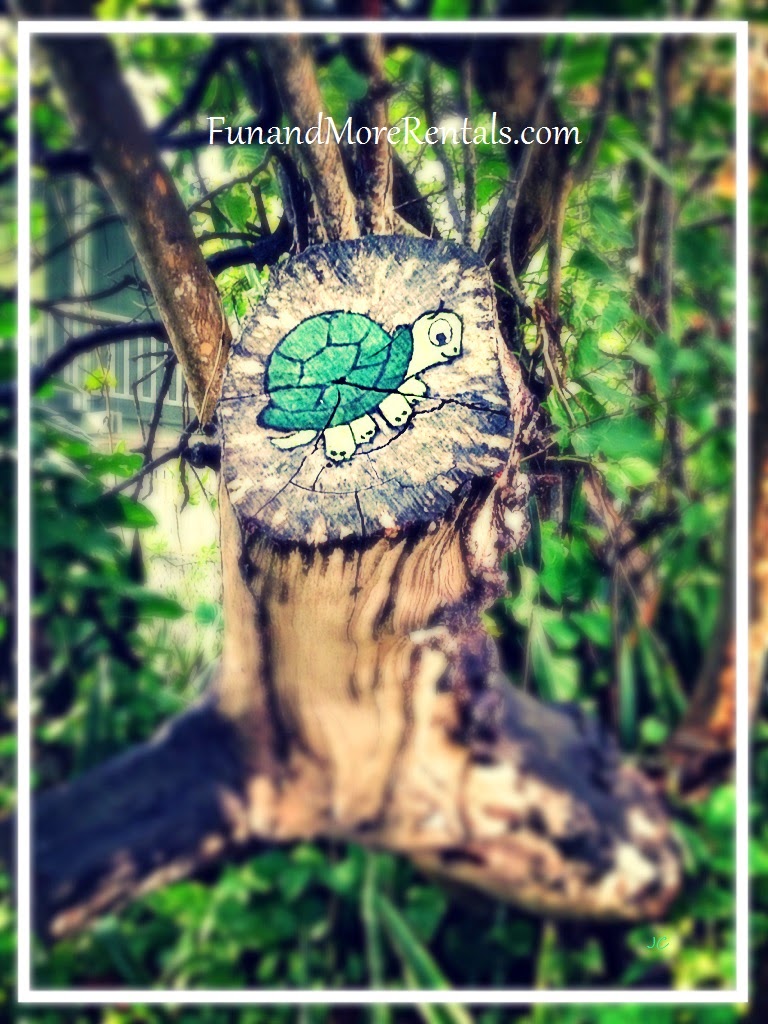 Anna Maria Island Sea Turtles