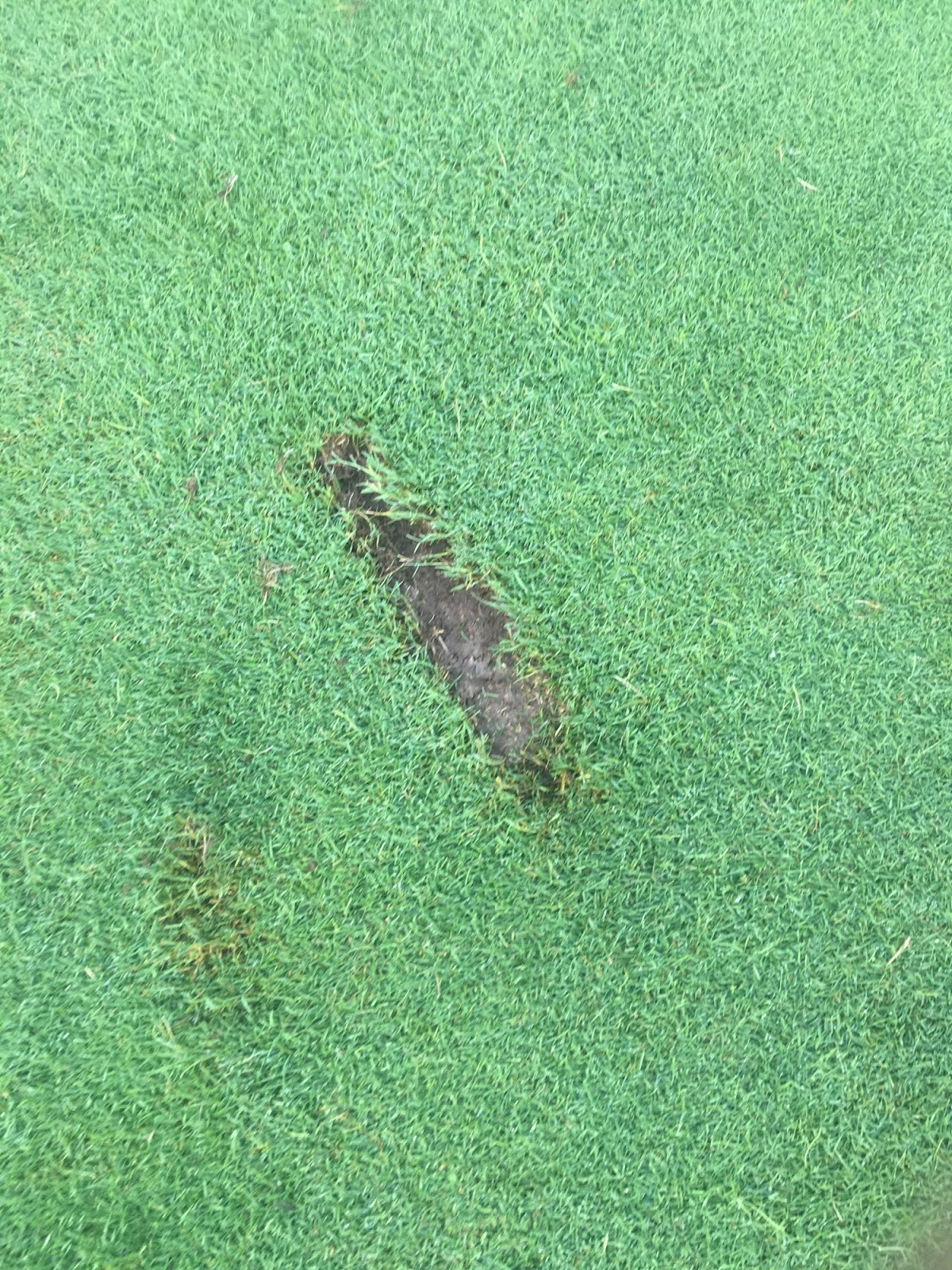 Treesdale Golf and Country Club Golf Course Maintenance Divots & Divot Mix