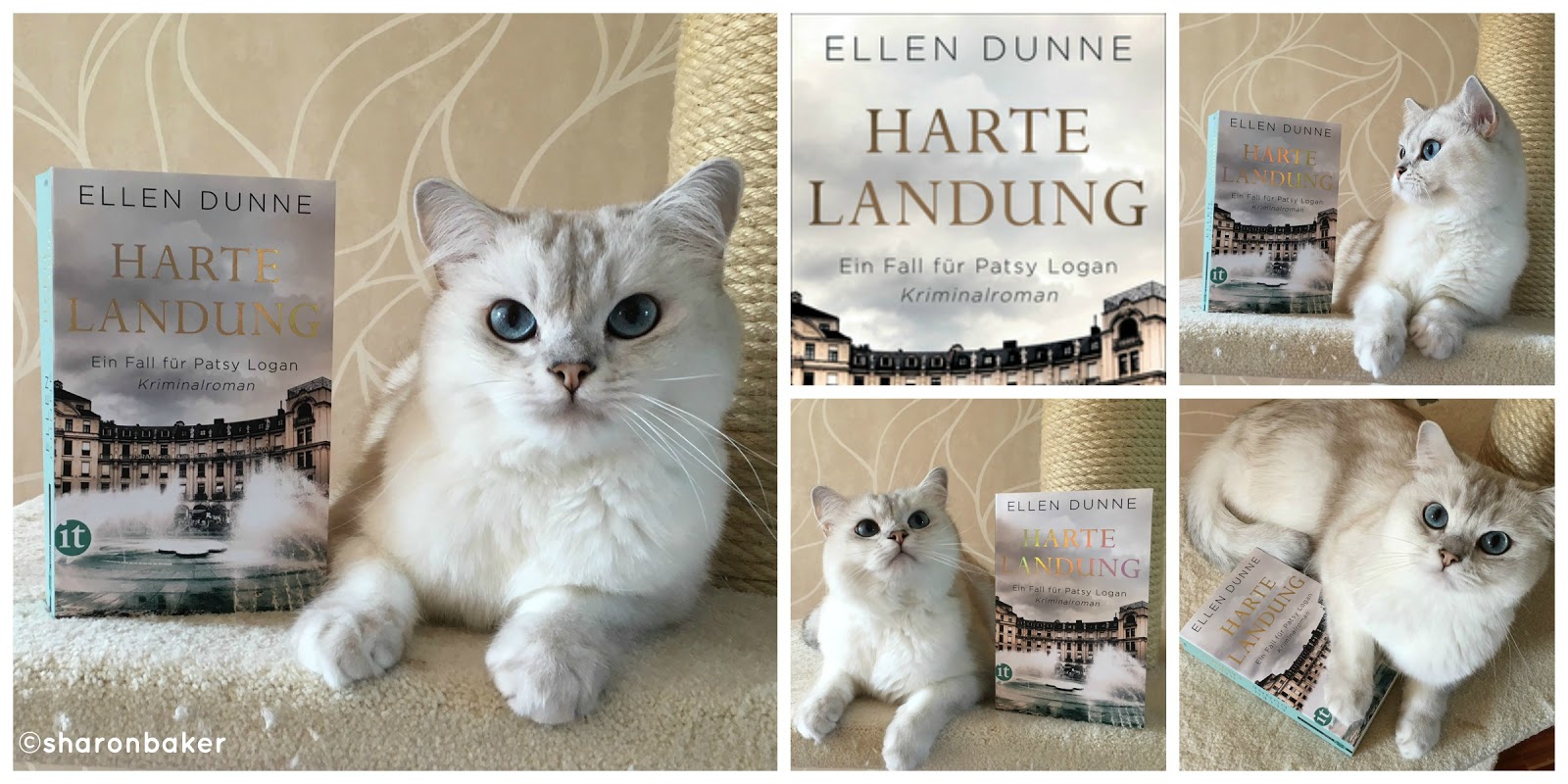 Sharon Baker Liest August 2017