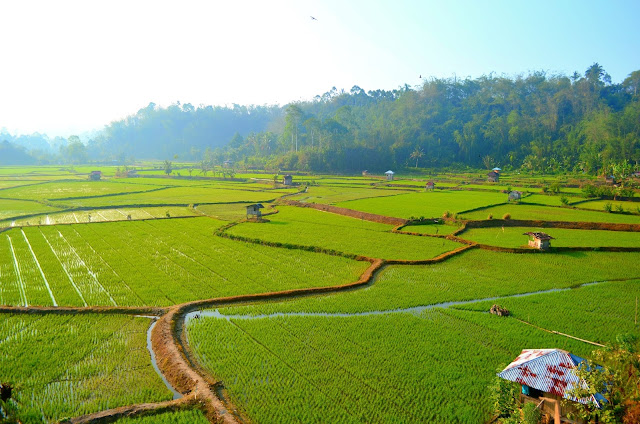 bluepackerid.com - Jelajah Pesona Lampung , The Treasure Of Sumatra