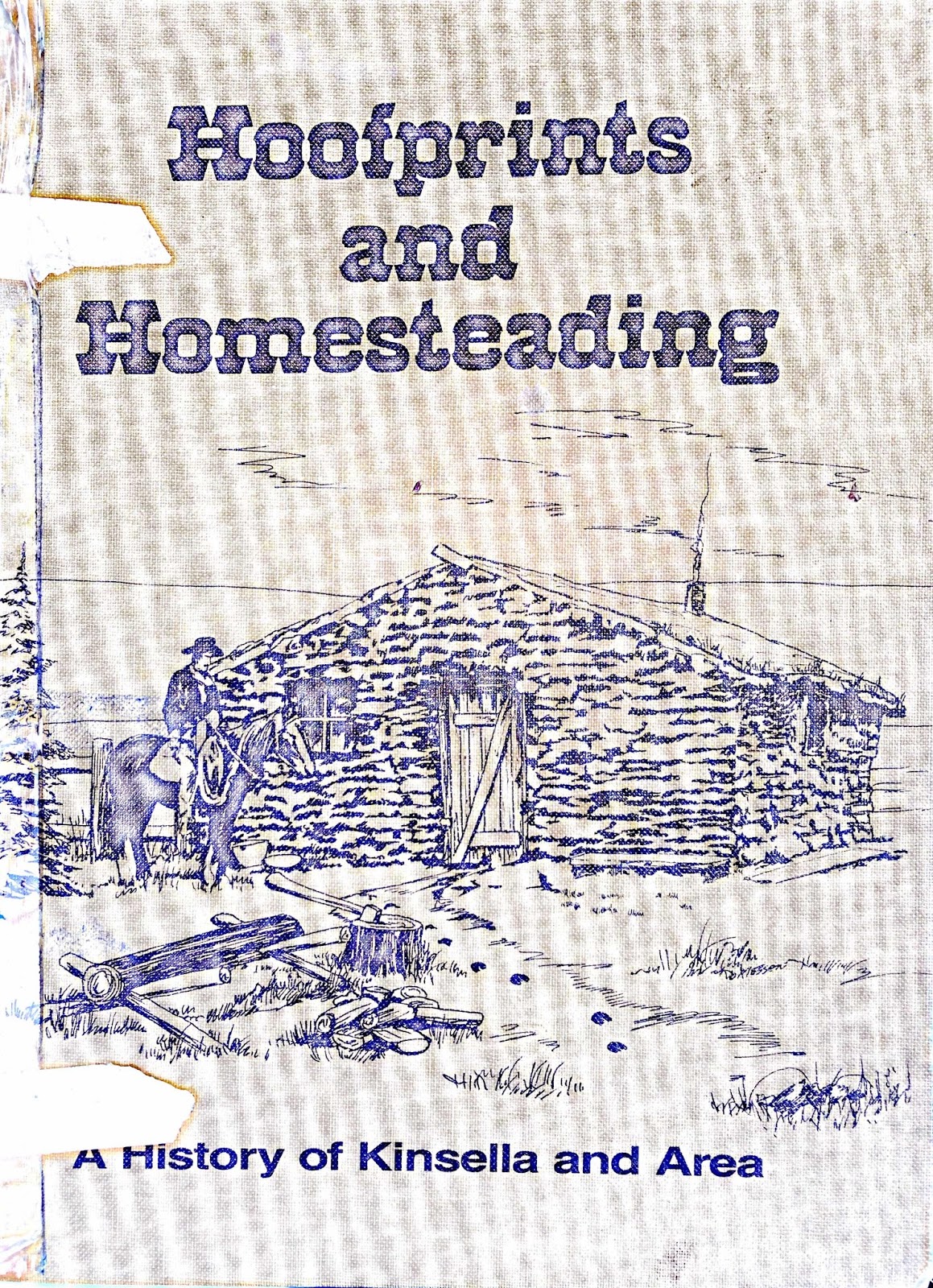 Ken and Jan's Arctic Fox Tales