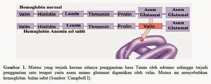 Biologi Gonzaga Mutasi Gen Change Basa Nitrogen