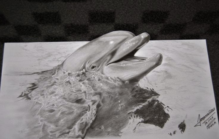 3d Dolphin Sketch Optical Illusion Genius Puzzles