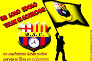 Afiches Carteles de Barcelona Sporting Club Guayaquil Ecuador (afiches de barcelona sporting club idolo guayaquil ecuador )