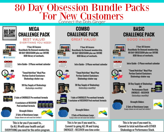 Connect the Dots Ginger Becky Allen 80 Day Obsession