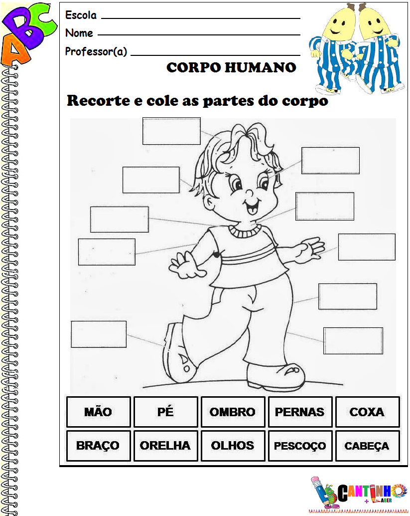 Cantinho Saber Corpo Humano Atividades 2º Ano