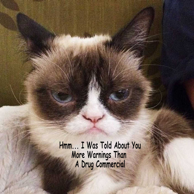 More Grumpy Cat MeMe's By Gary