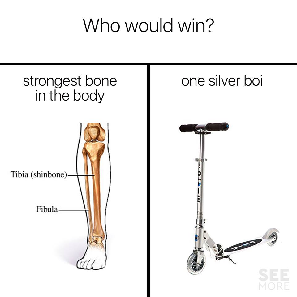 Who would win, strongest bone in the body, one silver boy | Best of