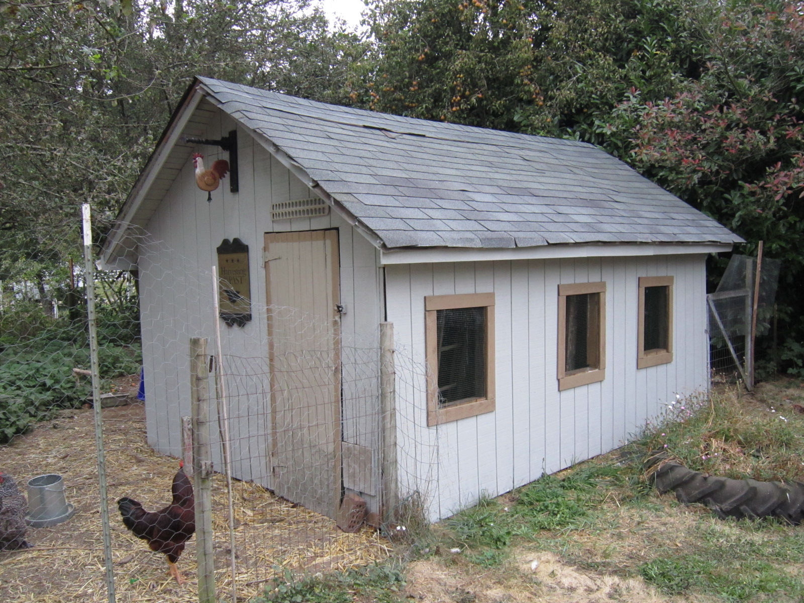 Blue Shoe Farm Chicken Coop finale