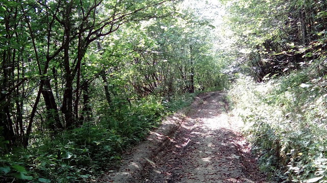 DSC_0407.JPG