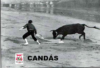 CANDAS TOROS