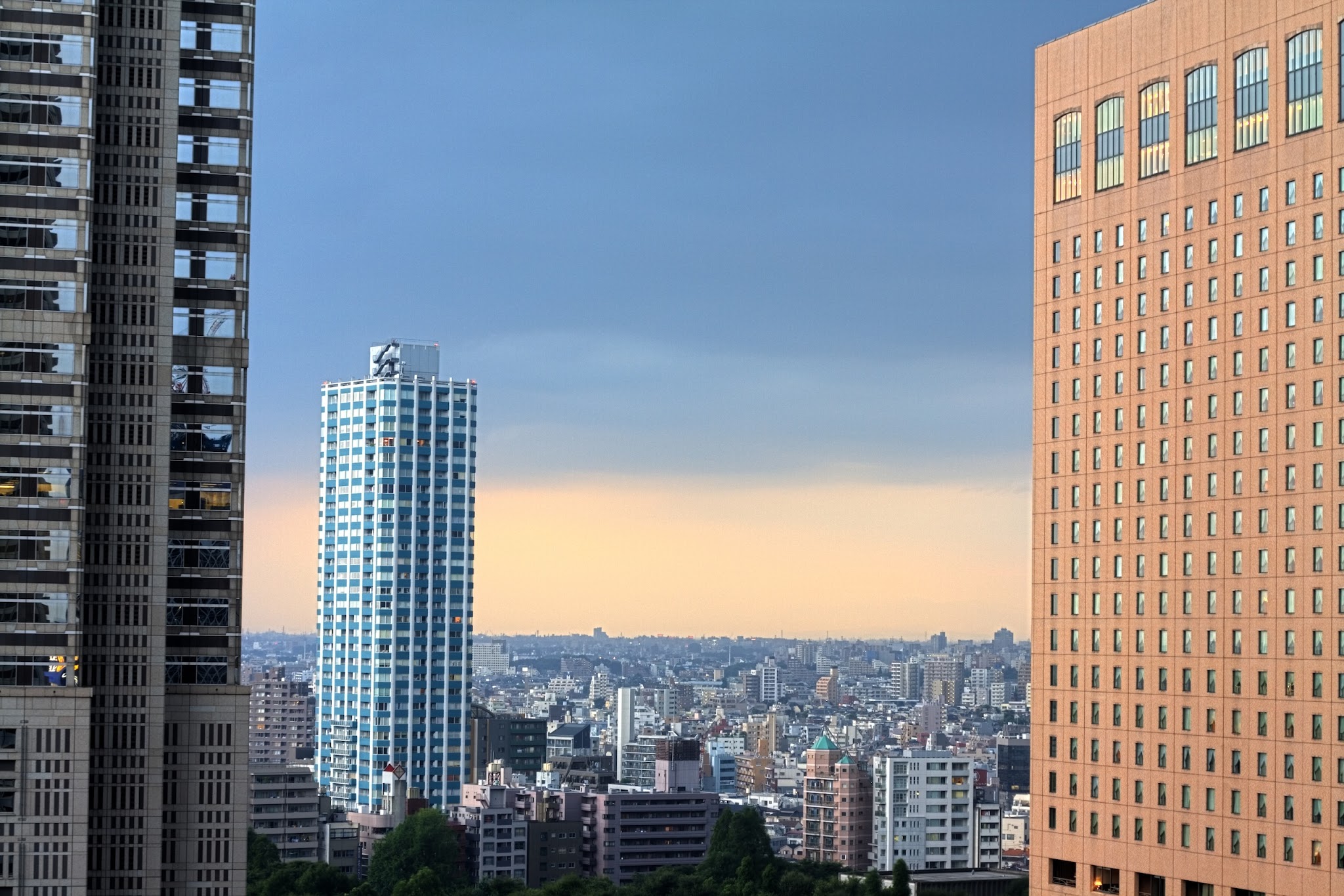 大都会東京の巨大ビル