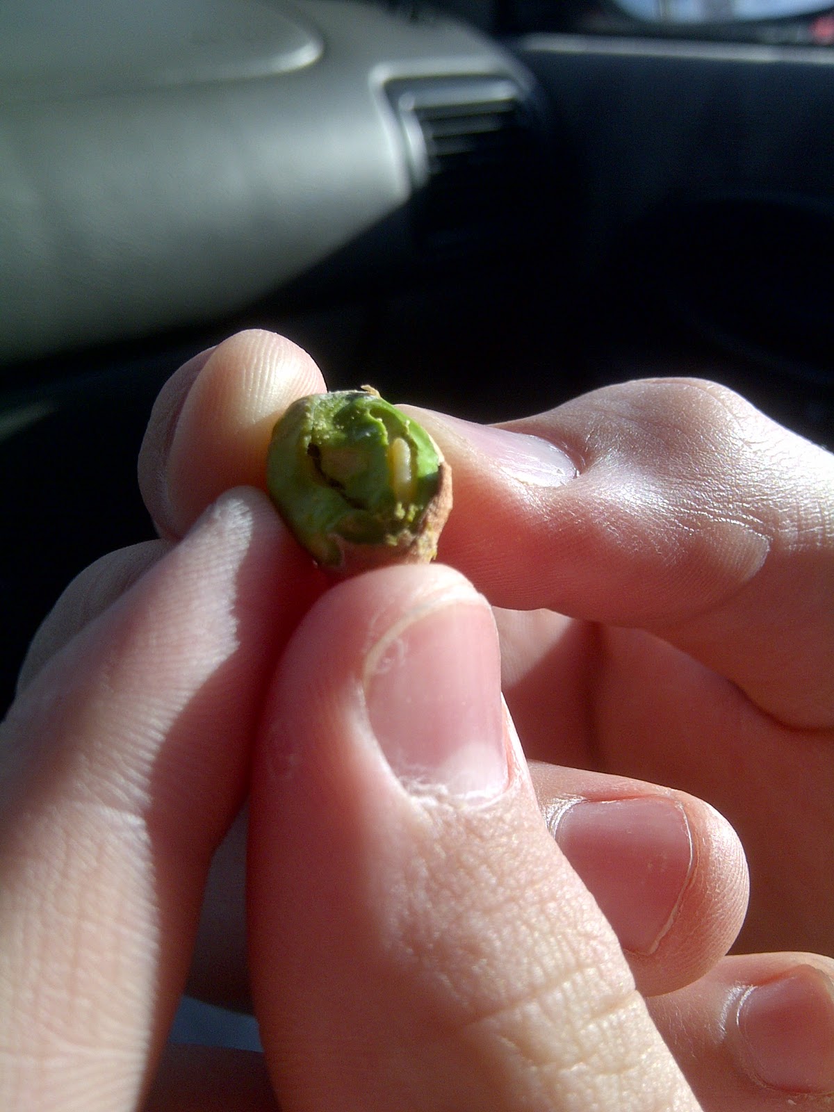 The Littles Are Running Amok Boys should be pickier.