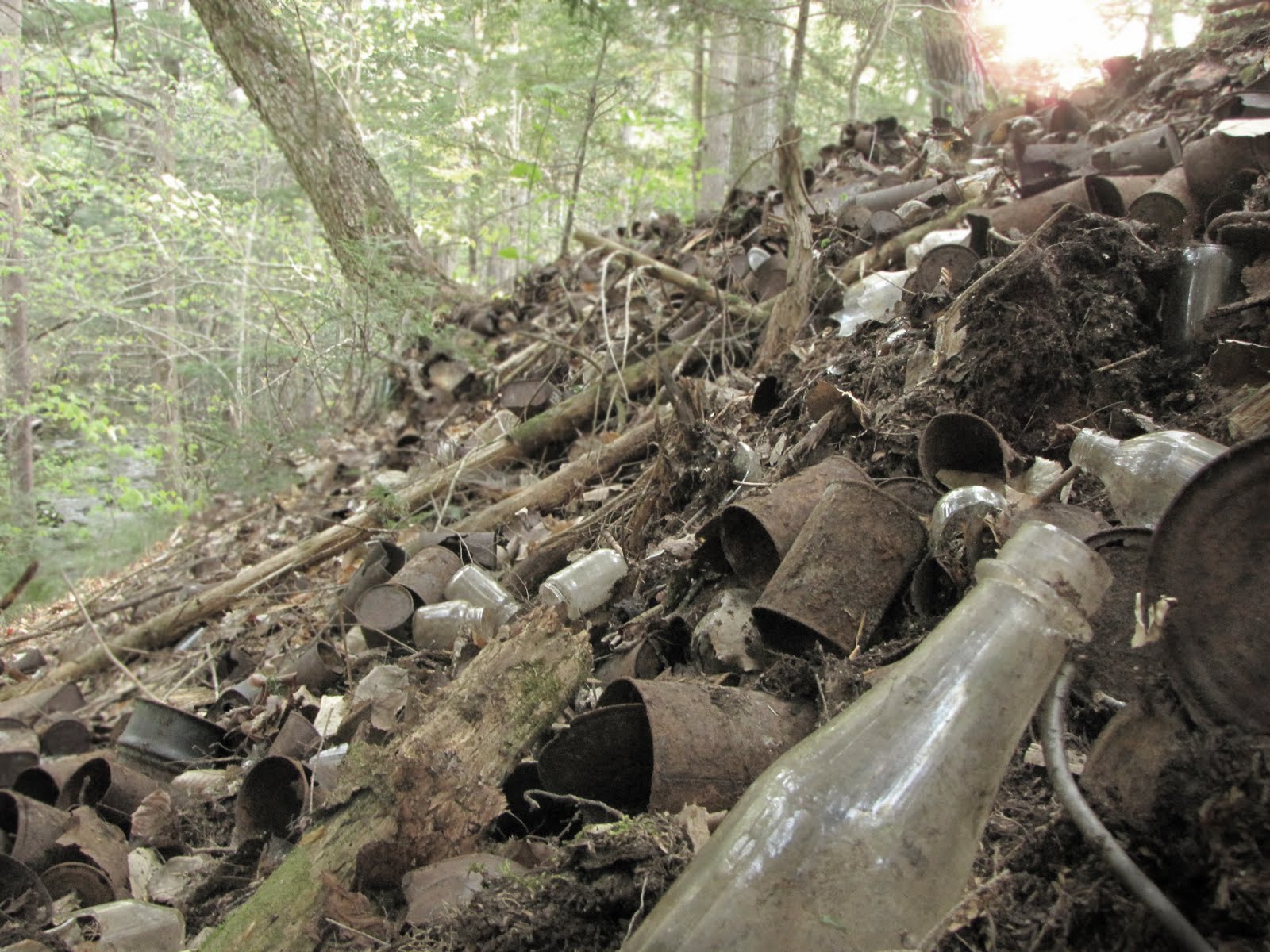 Assorted Thoughts of a Dashing Young Gentleman. One mans trash...