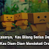 Sakit Rasanya, Kau Bilang Serius Denganku Namun Kau Diam-Diam Mendekati Orang Lain. Sakit Rasanya, Kau Bilang Serius Denganku Namun Kau Diam-Diam Mendekati Orang Lain.
