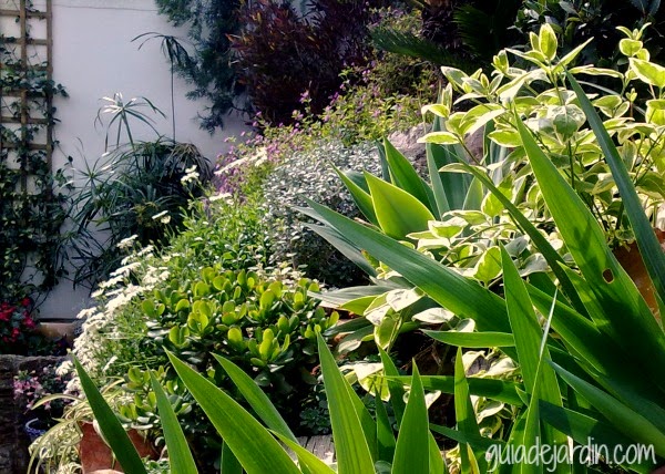 Saca el mayor partido a tu jardín - Guia de jardin