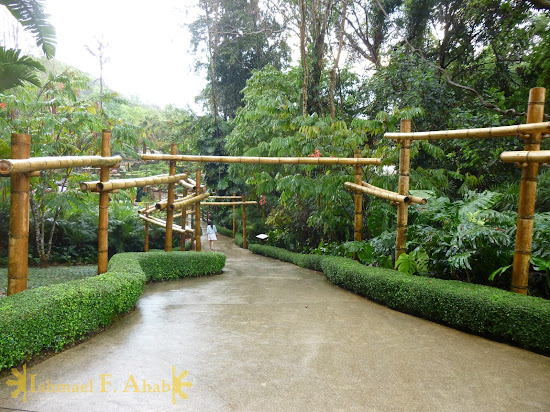 Path to Mae Fah Luang Garden of Doi Tung Royal Villa