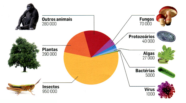 GEOGRAFIA Newton Almeida: BIOLOGIA - Sistema de Classificação das ...