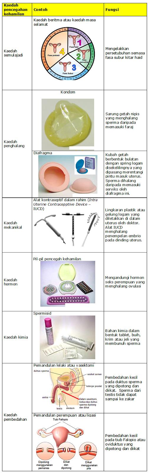 Sains Bab 4 Tingkatan 3