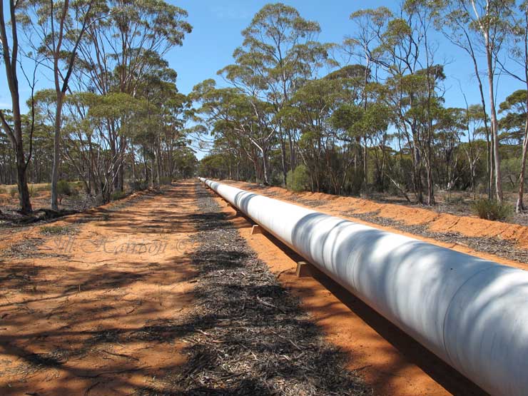 Life Images by Jill The need for water on the goldfields Perth to