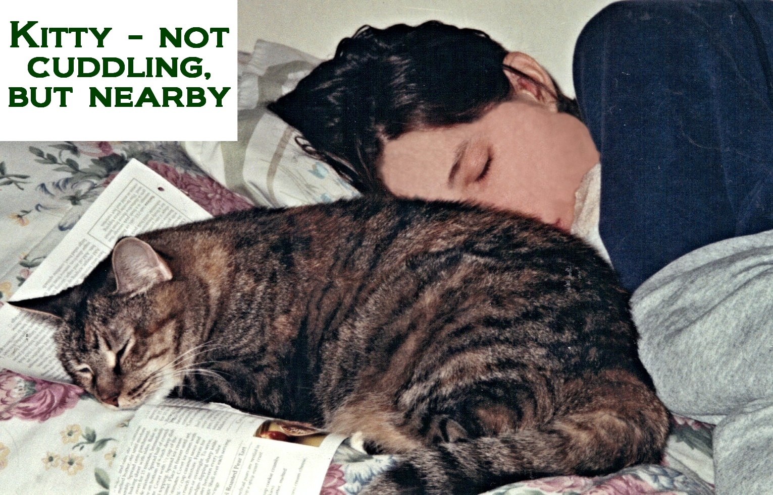 Do cats need human interaction or are they completely fine on their own