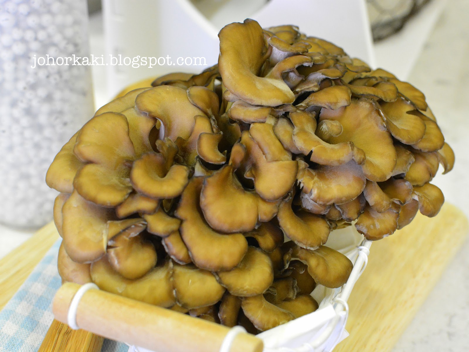 Hokto Maitake Mushrooms Now Everyone in Singapore can Eat like a