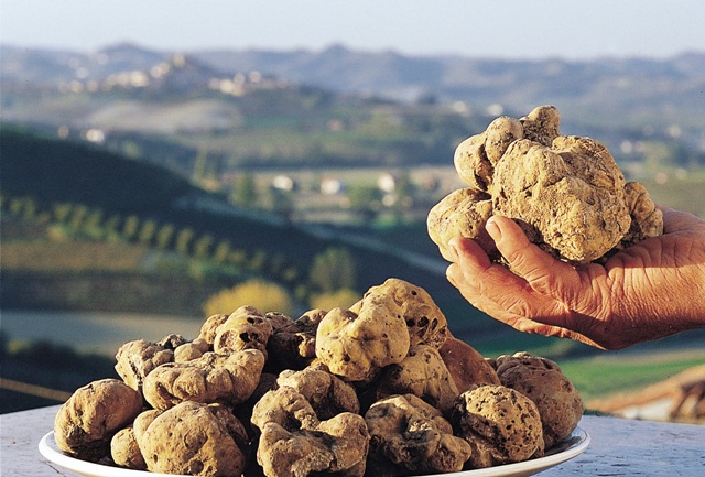La Primera Universidad Gastronómica en Latinoamérica: Tartufo Bianco