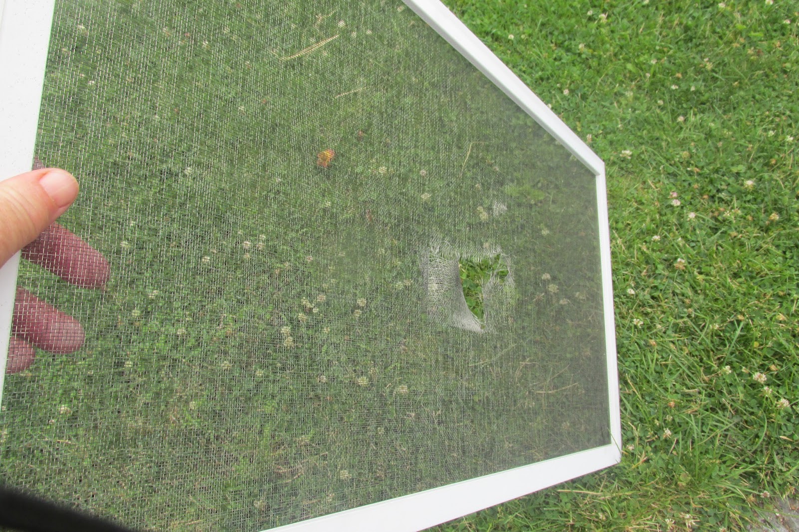 Vickie's Kitchen and Garden DIY How to Repair A Window Screen