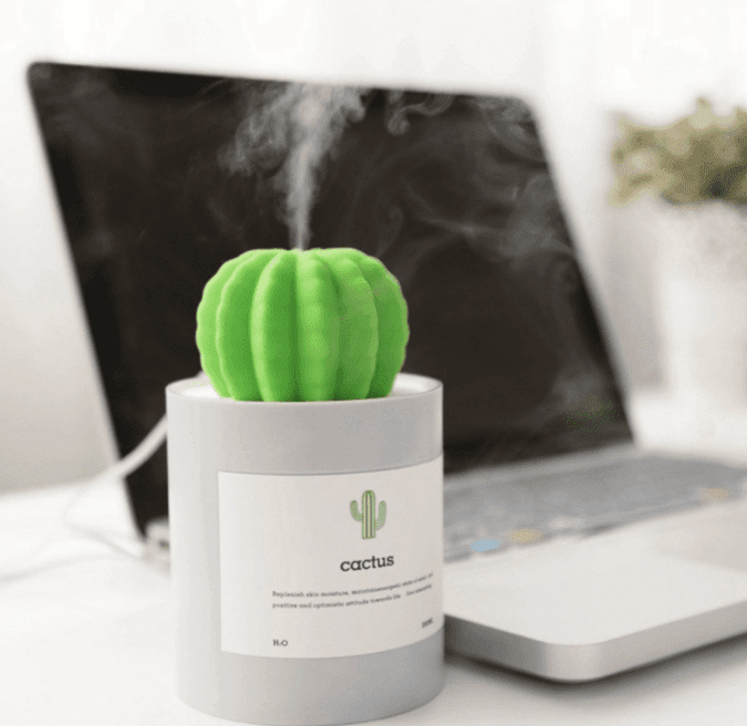 36 Genius Yet Inexpensive Products That Can Save Lives - This Cactus Humidifier Plugs Right Into Your Computer's USB Port