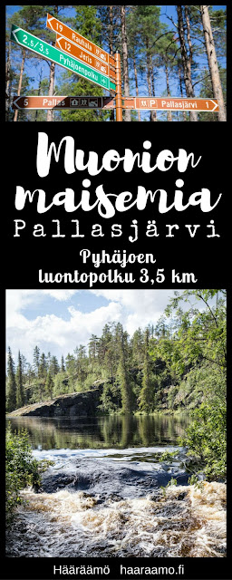 Pallasjärvi