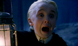 malfoy potter harry call him draco actor actors face actresses tom felton funny why hp always happy know