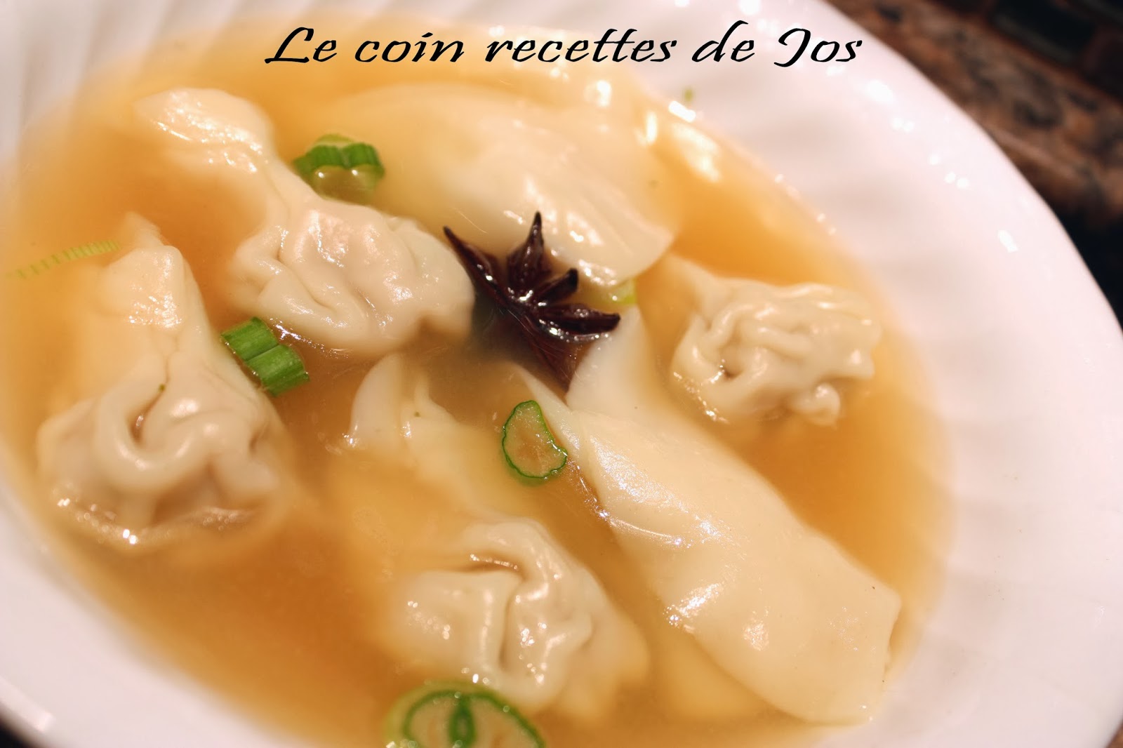 Le coin recettes de Jos SOUPE WON TON 2