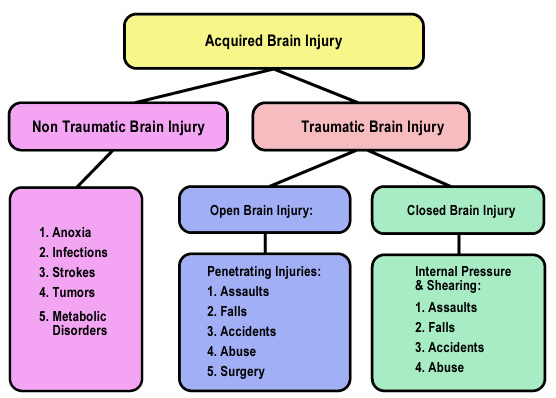 Traumatic Brain Injury: Getting to Know TBI