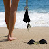 Нагота на французских пляжах | Nudity on French beaches