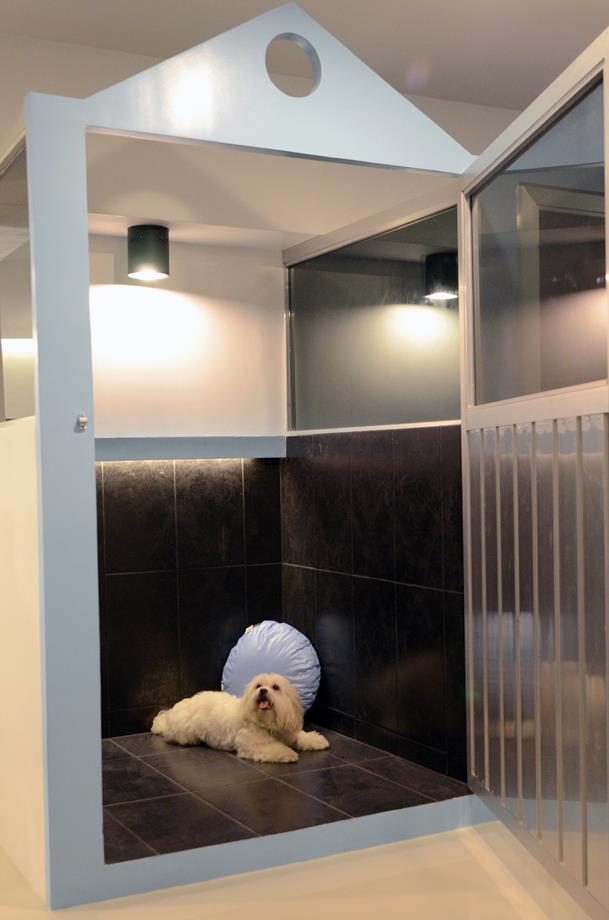 The Pooch Hotel Chicago The Pooch Hotel Chicago