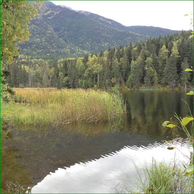 Northern Interior British Columbia Seeley Lake Provincial Park British