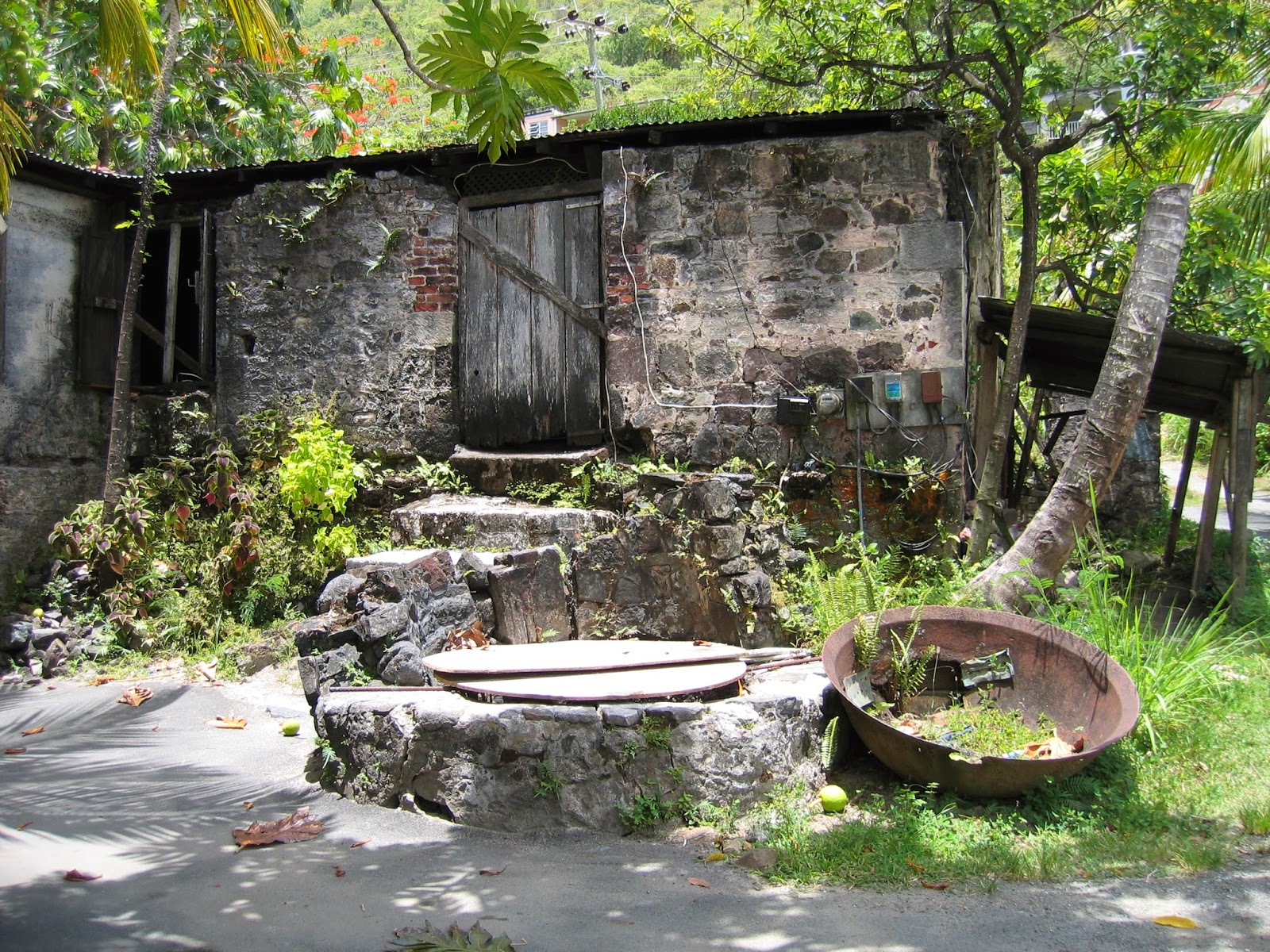 paradis express Callwood Rum Distillery