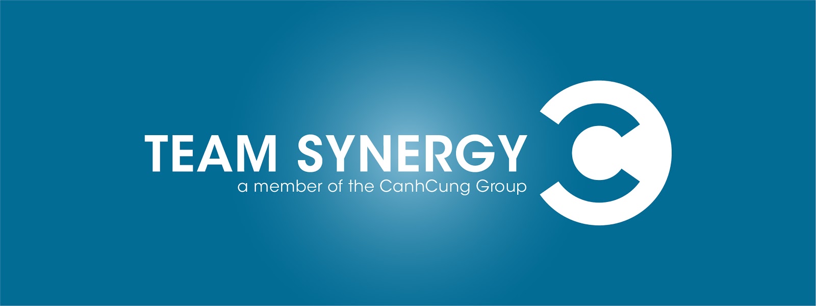 Logo Team Synergy