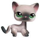 Littlest Pet Shop Pet Pairs Siamese Cat (#125) Pet